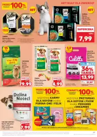 Kaufland gazetka tydzień 23 Strona 69