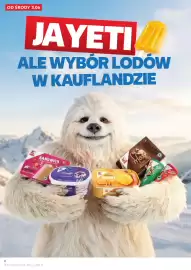 Kaufland gazetka tydzień 23 Strona 8