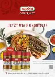 Eurogast Grissemann Flugblatt Seite 11