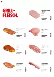 Eurogast Grissemann Flugblatt Seite 2