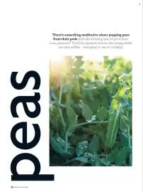 Waitrose catalogue Page 42