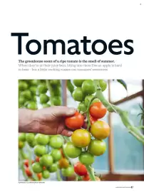 Waitrose catalogue Page 47