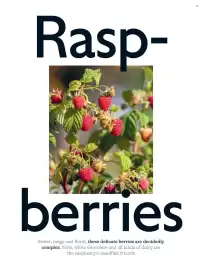 Waitrose catalogue Page 54