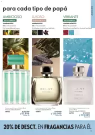 Catálogo Oriflame Página 17