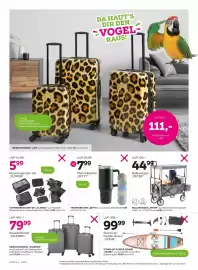 Mömax Flugblatt woche 23 Seite 8