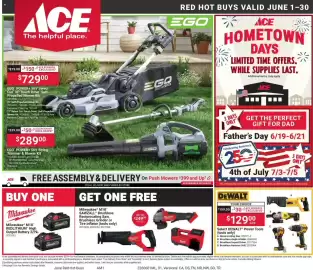 Ace Hardware flyer Page 1