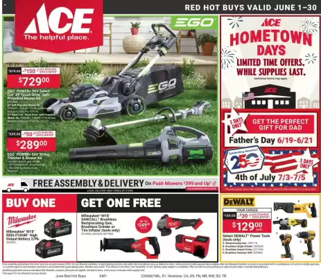 Ace Hardware (valid until 30-06)