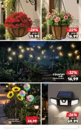 Catalog Kaufland săptămâna 23 Pagină 31