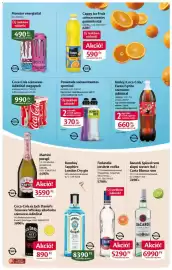 EcoFamily akciós újság Oldal 7