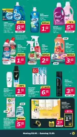 Netto DE folder week 24 Pagina 11