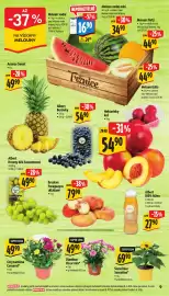 Albert leták | Supermarket Strana 17