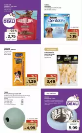Zoo & Co Prospekt woche 23 Seite 4