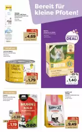 Zoo & Co Prospekt woche 23 Seite 7