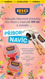 Albert leták týden 23 Strana 10
