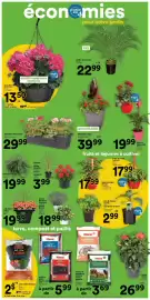 Super C flyer week 23 Page 11