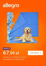 Allegro gazetka tydzień 23 Strona 1