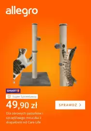 Allegro gazetka tydzień 23 Strona 4