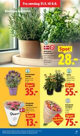 Lidl tilbudsavis Side 46