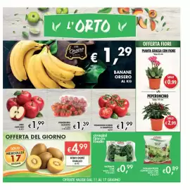 Volantino Maxi Coal Pagina 5