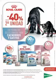 Catálogo El Corte Inglés Página 20
