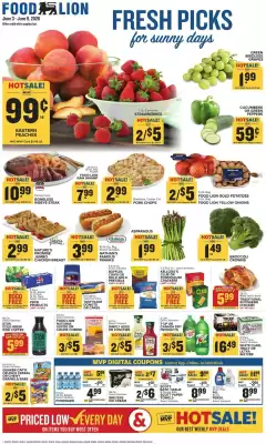 Food Lion weekly ad