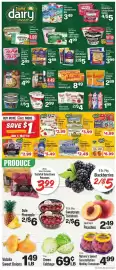 IGA weekly ad week 23 Page 3