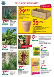 Catalogue RAGT Jardin & Maison page 3