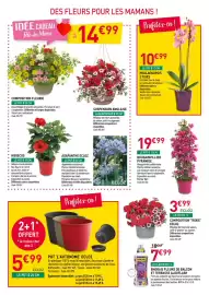 Catalogue RAGT Jardin & Maison page 4