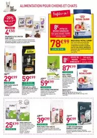 Catalogue RAGT Jardin & Maison page 6