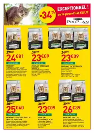 Catalogue RAGT Jardin & Maison page 7