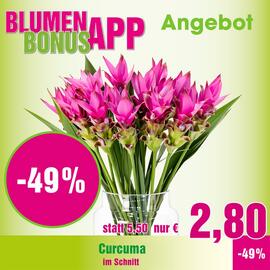 Blumen B&B Flugblatt woche 23 Seite 2
