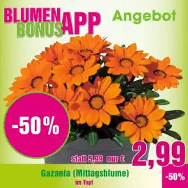 Blumen B&B Flugblatt woche 23 Seite 1