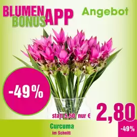 Blumen B&B Flugblatt woche 23 Seite 2