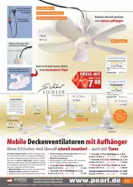 Pearl Flugblatt Seite 113