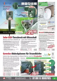Pearl Flugblatt Seite 75