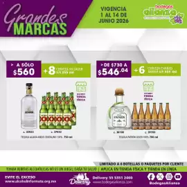 Folleto Bodegas Alianza Página 10
