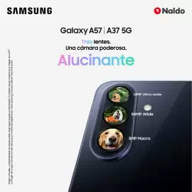 Catálogo Naldo Lombardi Página 3