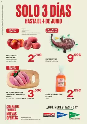 El Corte Inglés (válido hasta el 4-06)