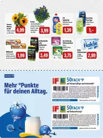 Feneberg Prospekt Seite 15