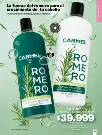 Catálogo Carmel Página 141