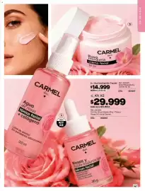 Catálogo Carmel Página 147