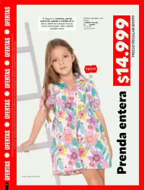 Catálogo Carmel Página 227