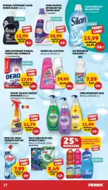 Catalog Penny săptămâna 23 Pagină 17