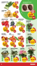 Catalog Penny săptămâna 23 Pagină 5