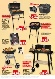 Kaufland gazetka tydzień 23 Strona 17