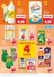 Kaufland gazetka tydzień 23 Strona 29