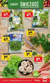 Polomarket gazetka tydzień 23 Strona 15