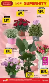 Polomarket gazetka tydzień 23 Strona 54
