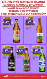 Polomarket gazetka tydzień 23 Strona 10