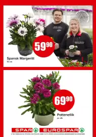 Eurospar kundeavis uke 23 Side 14